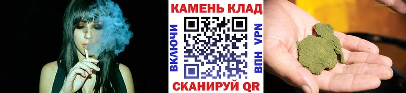площадка официальный сайт  Плёс  ГАШ гарик 