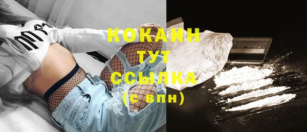 спайс Вяземский