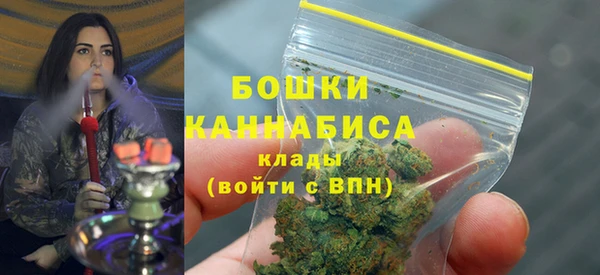 спайс Вяземский